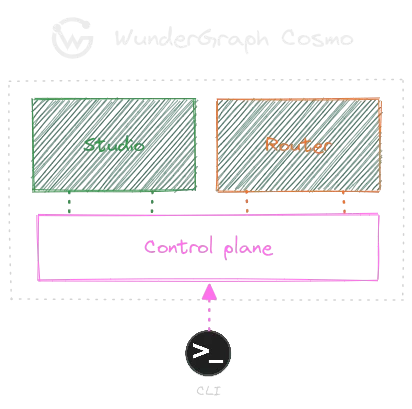 A diagram illustrating the role of the Control Plane in Cosmo's architecture